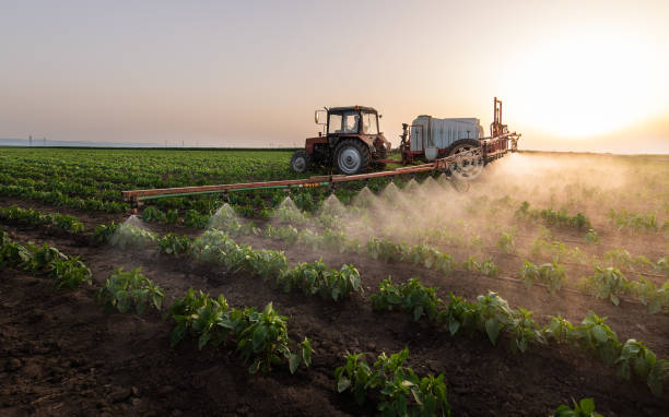 Best Best Pest Control Companies  in Skidmore, TX