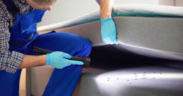 Best Pest Removal Services  in Skidmore, TX