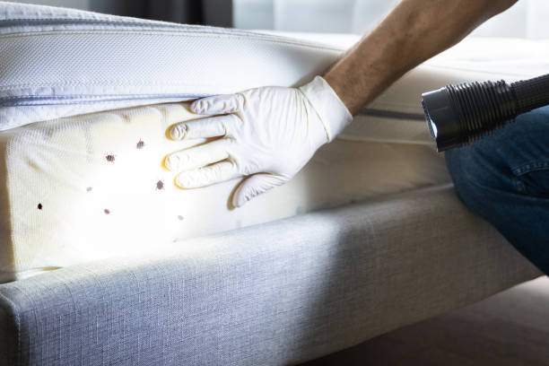 Pest Control for Restaurants in Skidmore, TX