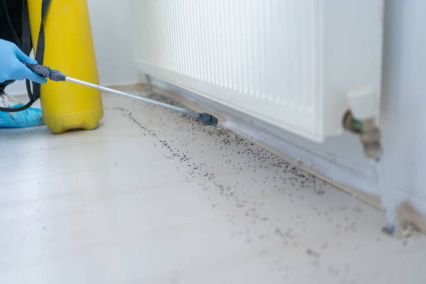 Skidmore, TX Pest Control Company